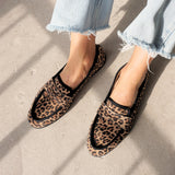 Loafer Classic Velour Leo - leo