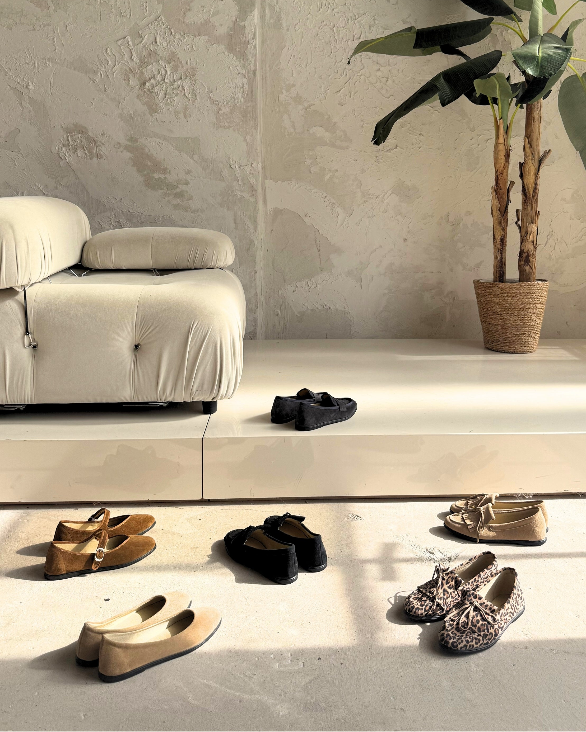 Discover all the new products